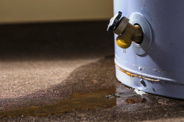 Best Residential water damage restoration  in Ketchikan, AK
