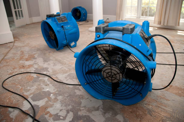 Best Water damage cleanup near me  in Ketchikan, AK
