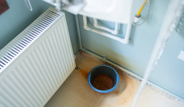 Best Mold removal after water damage  in Ketchikan, AK